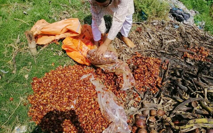মুক্তাগাছায় ভেজাল বিরোধী অভিযান